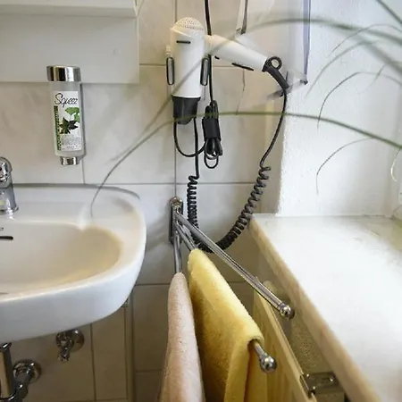 Guest house Zur Linde Pausa