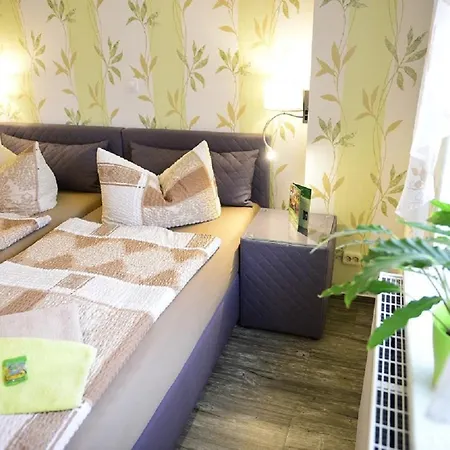 Zur Linde Guest house