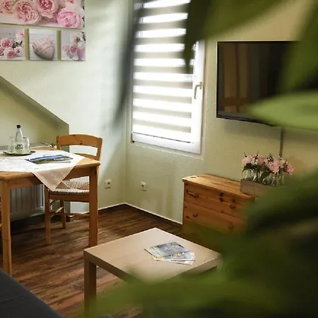 Zur Linde Guest house