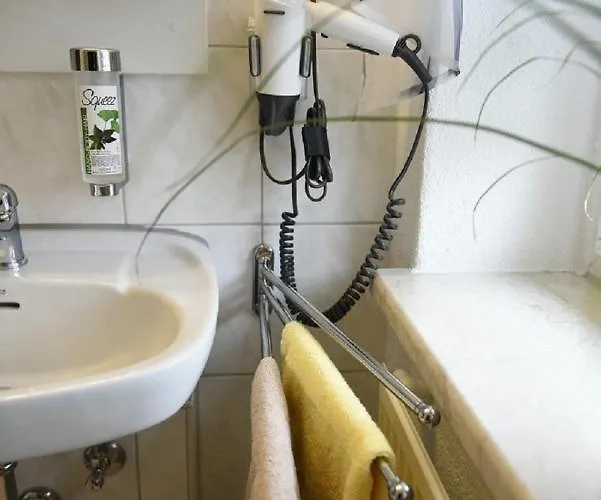 Gasthof Zur Linde Pausa